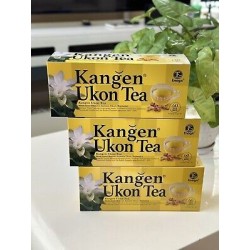 Box Boost : 60 Thés Curcuma Kangen Ukon 🌿 (antioxydant)